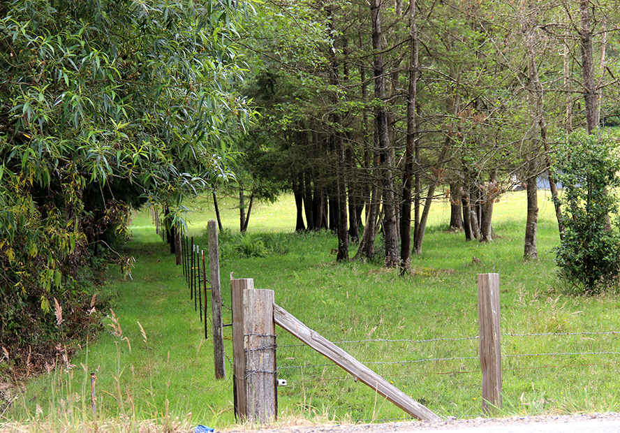 Kitsap-Greenway-fence.jpg