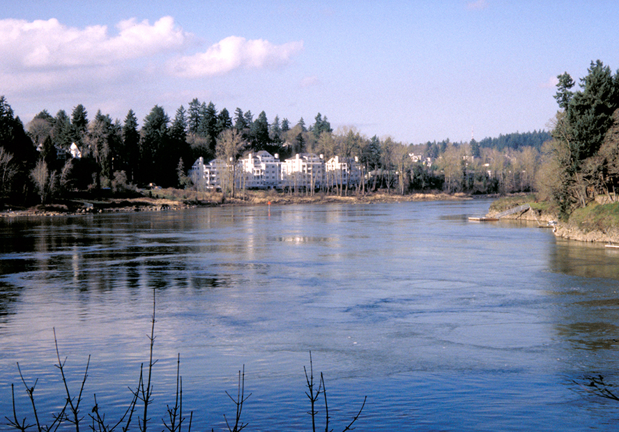 Lake-Oswego-OS.jpg