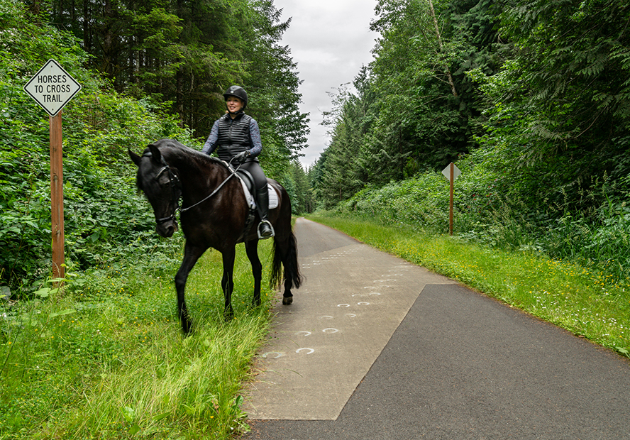 Centennial Trail BWP-4.jpg