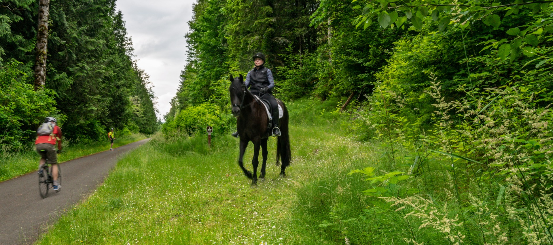 BWP_Centennial Trail-Hero.jpg