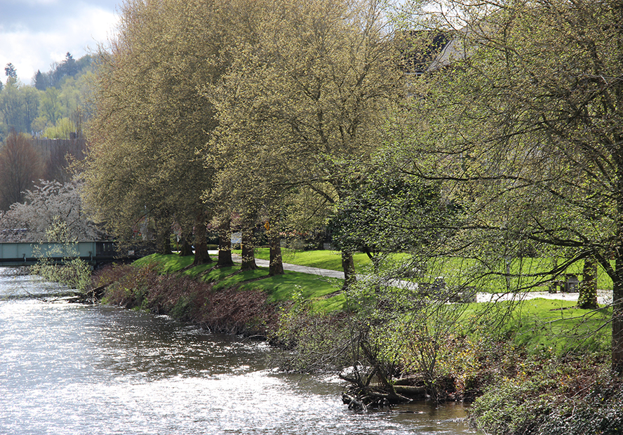 Lower-Cedar-River.jpg